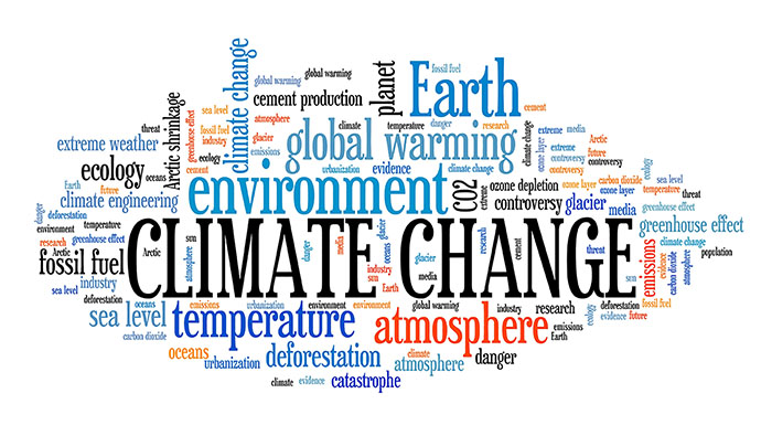 climate change survey
